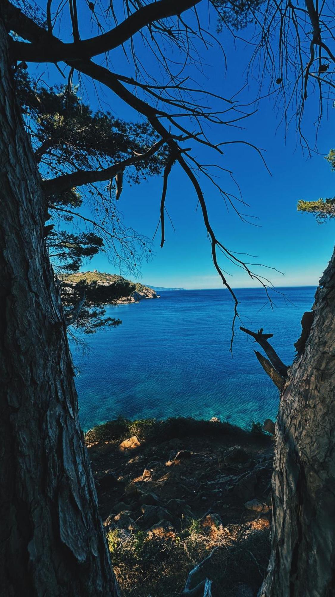 Can Romy Appartement T2F A 20M De La Plage De Cala Montgo เลสกาลา ภายนอก รูปภาพ