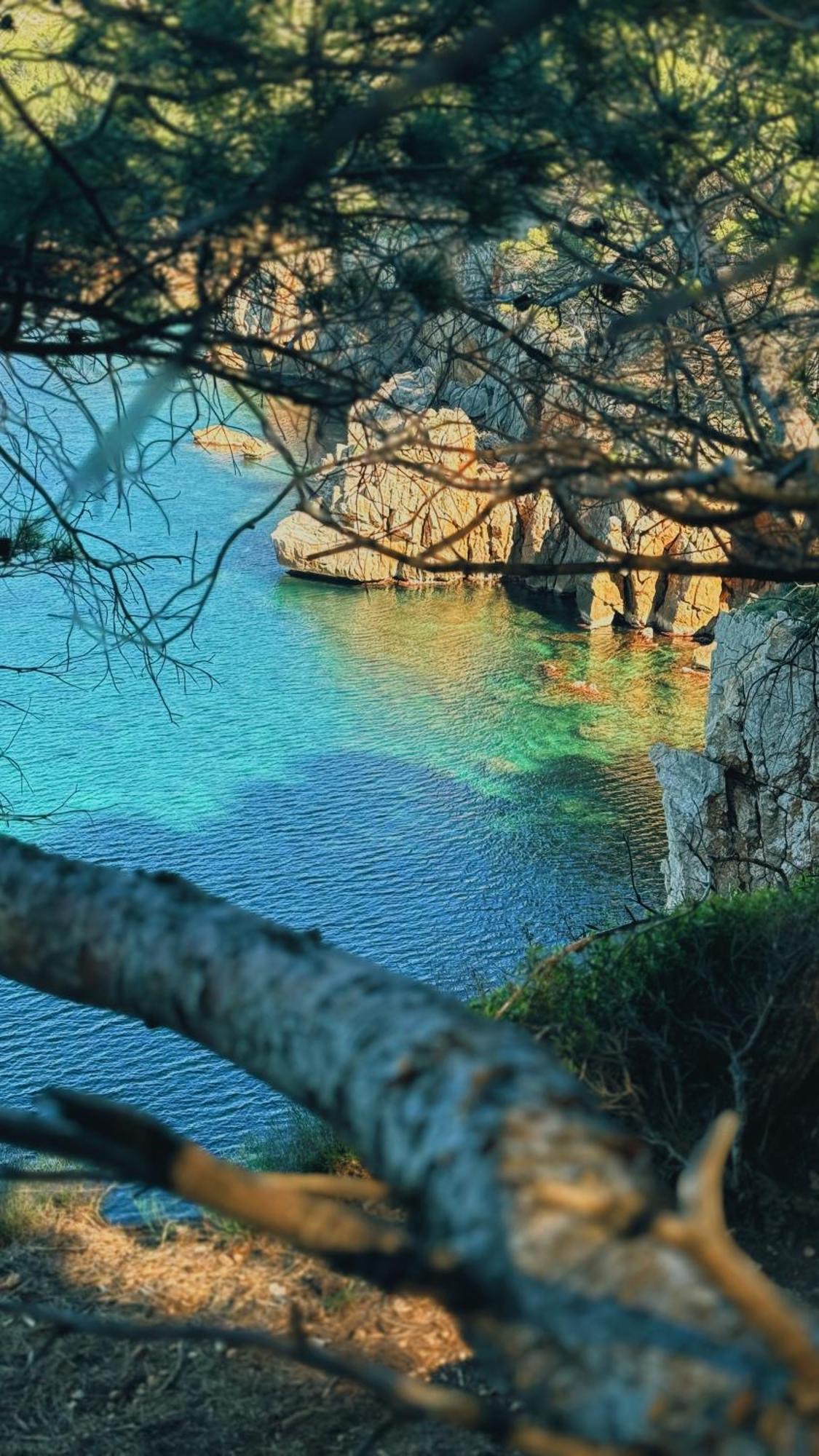 Can Romy Appartement T2F A 20M De La Plage De Cala Montgo เลสกาลา ภายนอก รูปภาพ